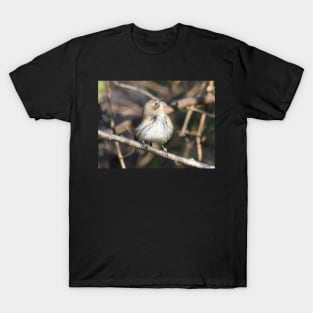 Yellow rumped warbler T-Shirt